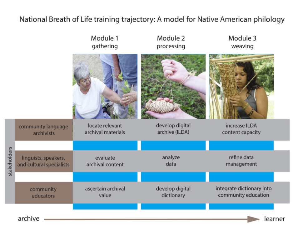 NBoL Training Trajectory